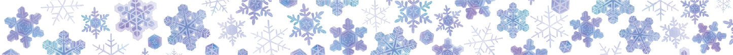 MT Maruichikyu Washi Tape - Snowflake