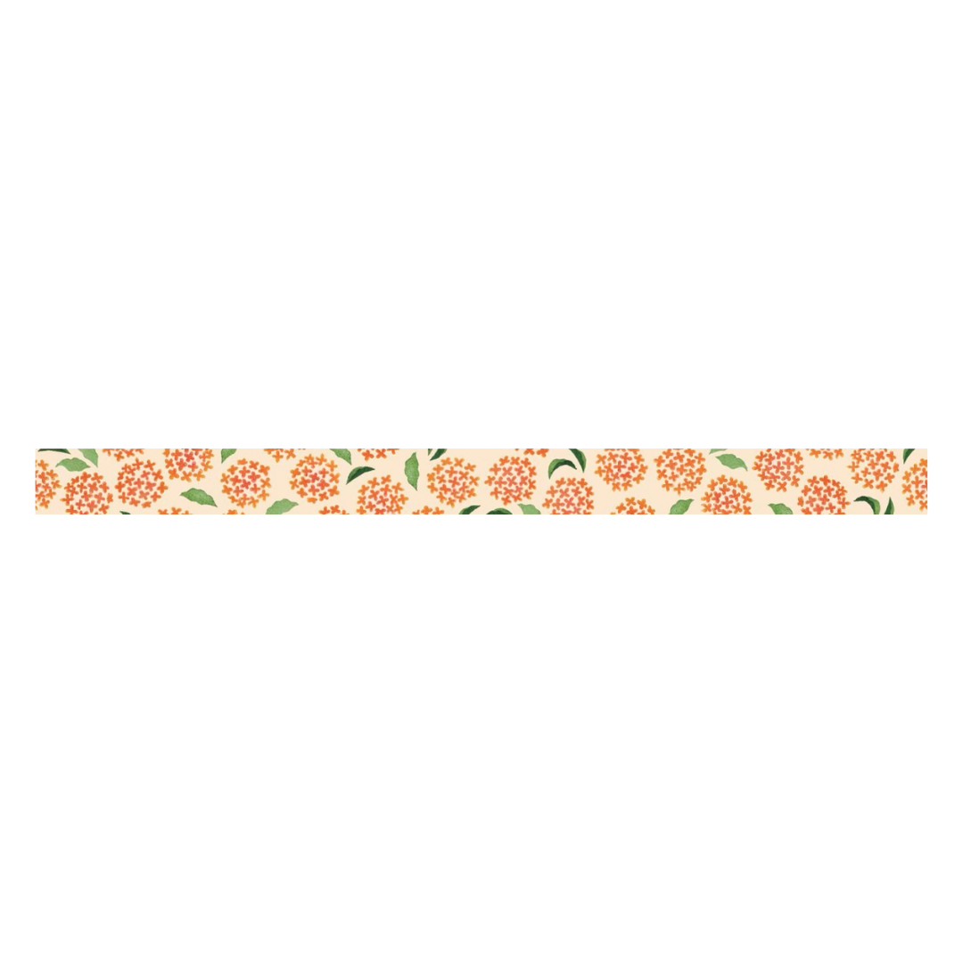 MT x Maruichikyu Washi Tape - Osmanthus