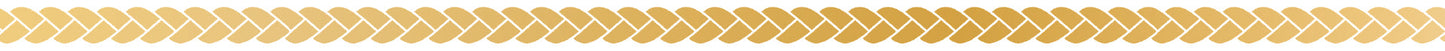 MT Deco High Brightness Washi Tape - Braid