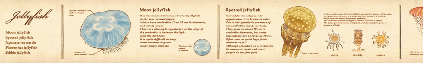 MT EX Washi Tape - Encyclopedia Jellyfish