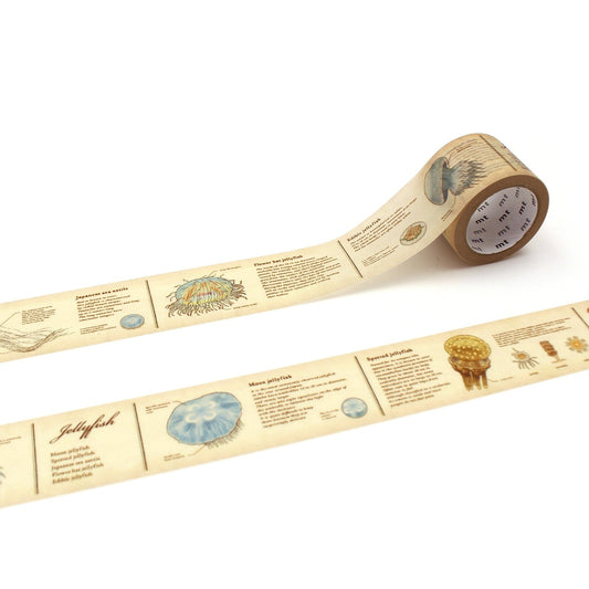 MT Ex Washi Tape - Encyclopedia Jellyfish