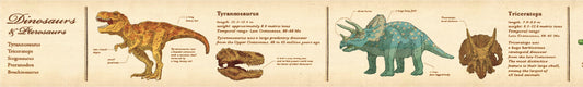 MT Ex Washi Tape - Encyclopedia Dinosaur