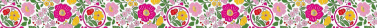 MT Tape 100th Anniversary Sets - Sou・Sou